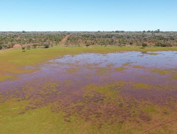 Click to view all images "Nardoo" Station 872 Davidson Road Gunderbooka NSW 2840 - Image 2