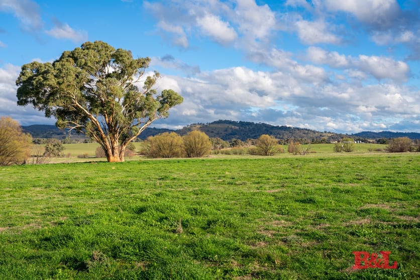 2989 Sofala Road Wiagdon NSW 2795 - Image 2