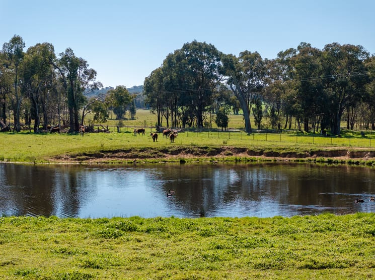 Click to view all images 25 Wrigleys Road Big Springs NSW 2650 - Image 2
