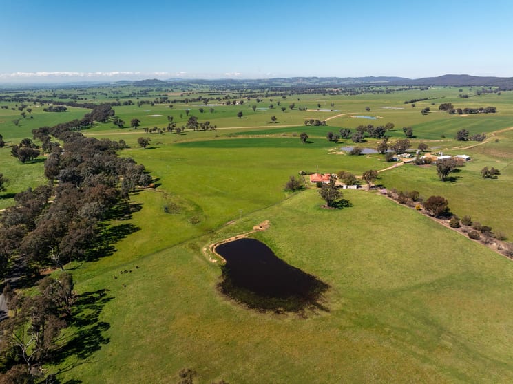 Click to view all images 25 Wrigleys Road Big Springs NSW 2650 - Image 1