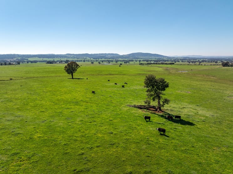Click to view all images 25 Wrigleys Road Big Springs NSW 2650 - Image 3