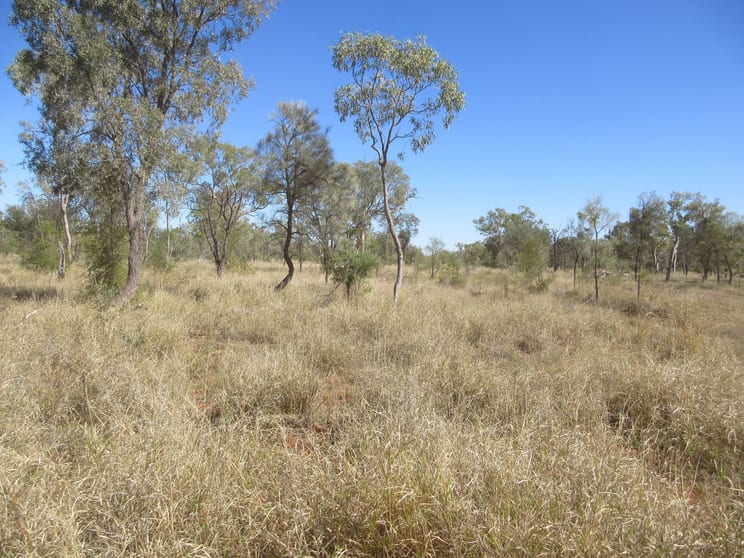 Click to view all images 4092 Narbethong Road Barcaldine QLD 4725 - Image 2