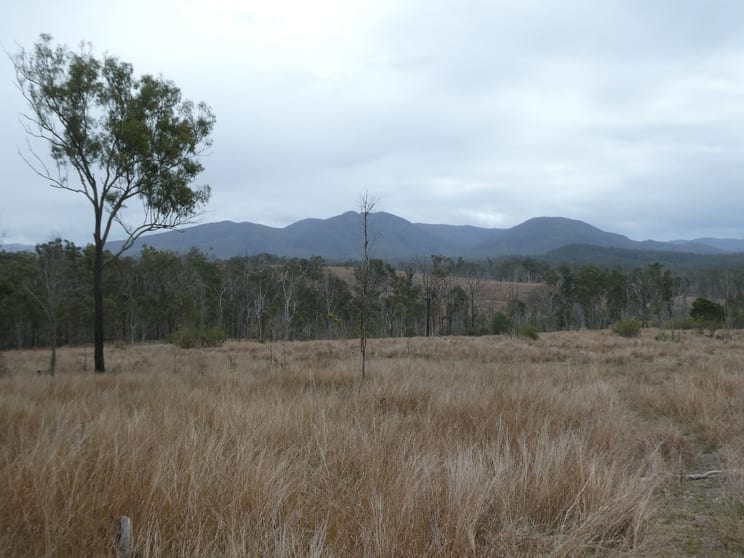 Lot 26 Tenningering Road Good Night QLD 4671 - Image 1