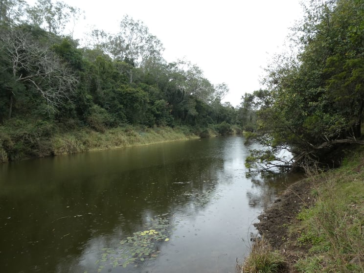 Lot 26 Tenningering Road Good Night QLD 4671 - Image 2