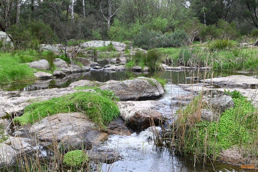 "Frogs Hollow" 52 Moorlands Lane Frogs Hollow NSW 2550 - Image 2