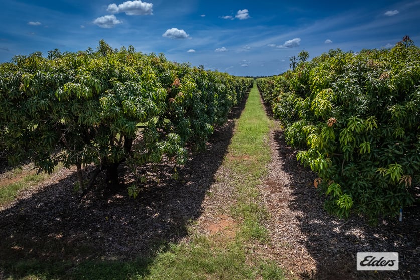 1070 Livingstone Road Berry Springs NT 0838 - Image 3