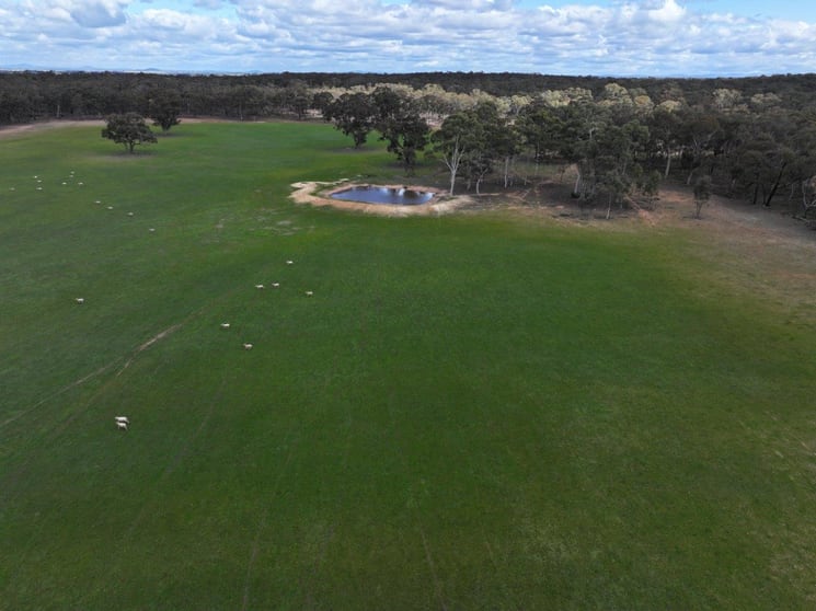 Click to view all images 83 Tarnagulla-Eddington Road Waanyarra VIC 3551 - Image 2