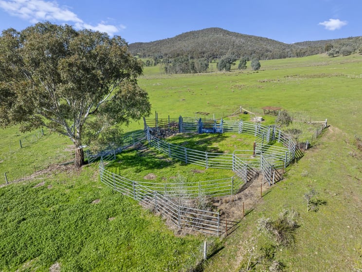 Click to view all images 500 Watchbox Creek Road Molyullah VIC 3673 - Image 3