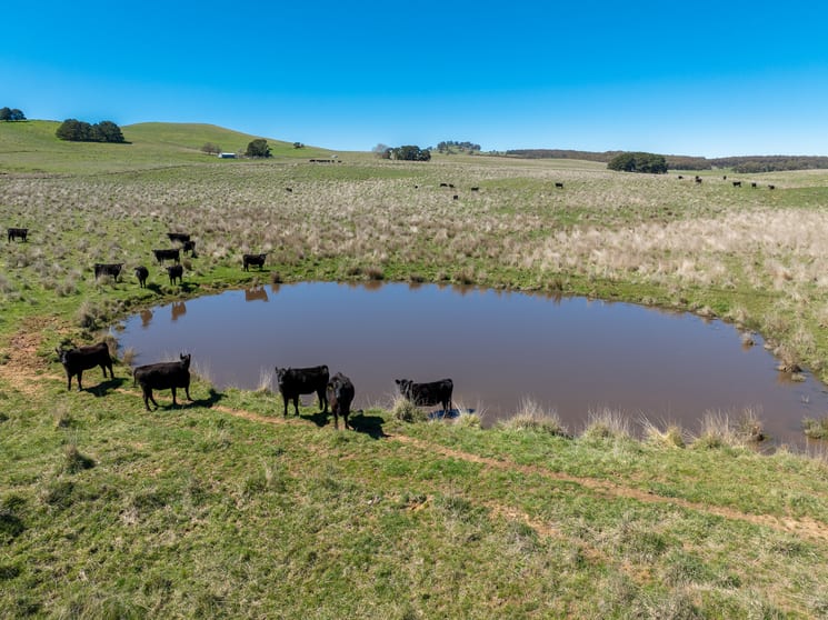 242 Bundaleer Road Newbridge NSW 2795 - Image 3