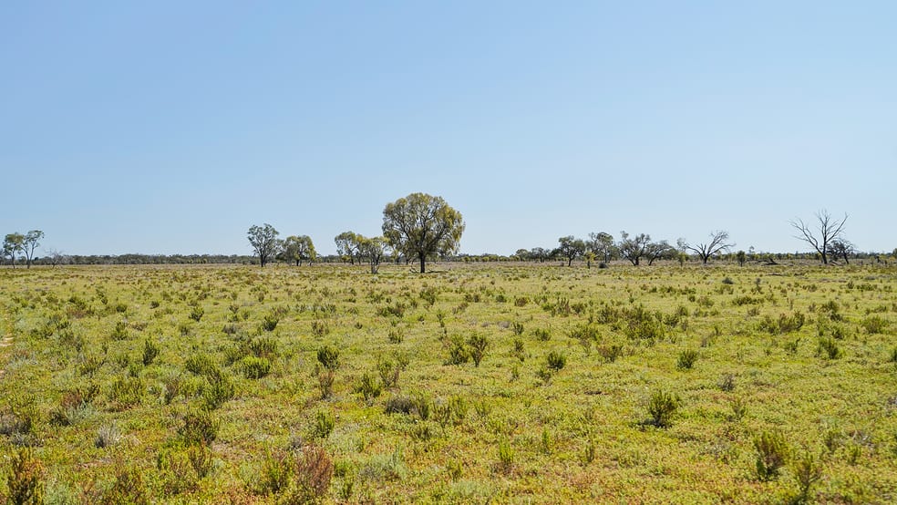 Click to view all images 1378 Keewong Lane Coonamble NSW 2829 - Image 2