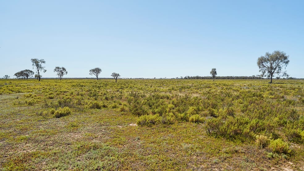 Click to view all images 1378 Keewong Lane Coonamble NSW 2829 - Image 3