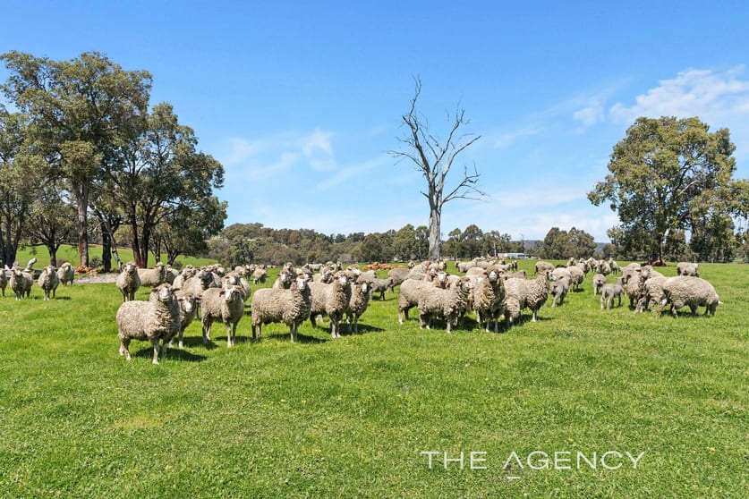 Click to view all images 3275 Toodyay Road Gidgegannup WA 6083 - Image 3