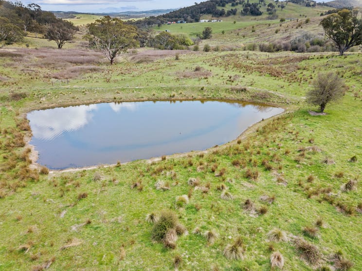 Click to view all images 55 Robbs Lane CHATSBURY VIA Goulburn NSW 2580 - Image 3