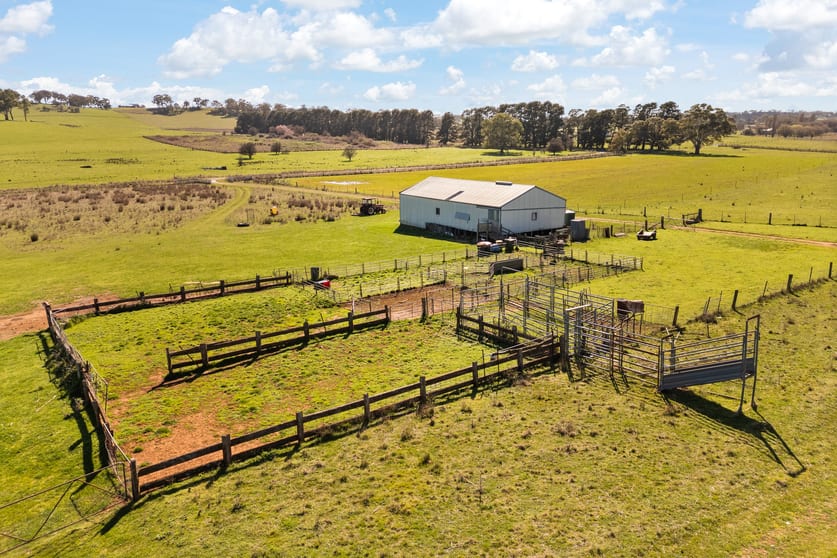 Click to view all images Millthorpe NSW 2798 - Image 2