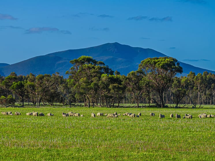 Click to view all images 712 View Range Road Kendenup WA 6323 - Image 2