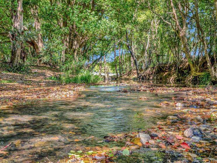 Click to view all images 923 Orara Way Nana Glen NSW 2450 - Image 2