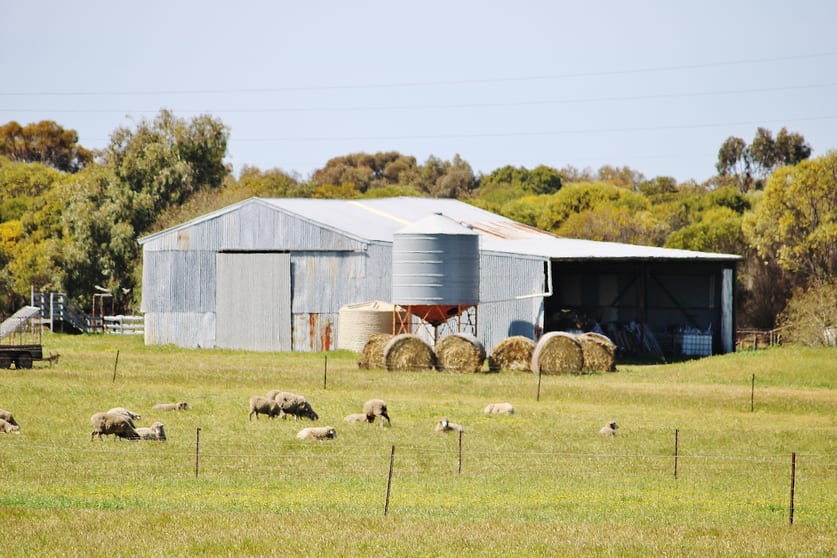 Click to view all images 256 WAGIN-DUMBLEYUNG ROAD Wagin WA 6315 - Image 3