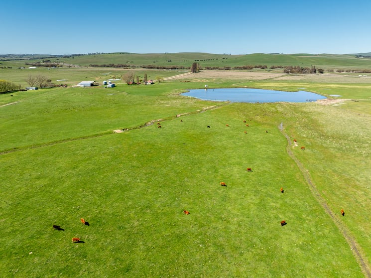 Click to view all images 3580 Mid Western Highway Blayney NSW 2799 - Image 3