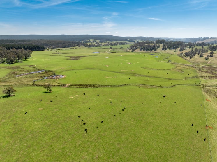 Click to view all images 224 Cranfield Road Chatham Valley NSW 2787 - Image 1