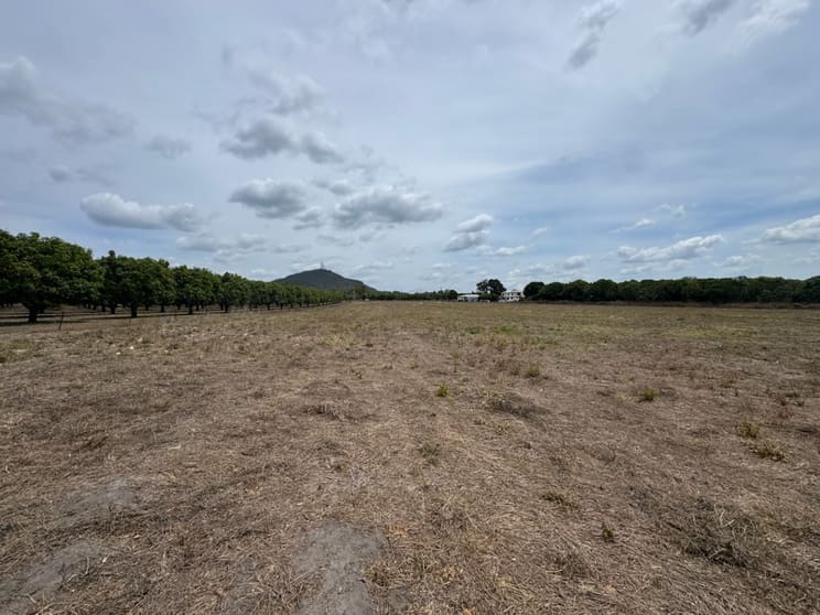 Click to view all images 53 Juanita Drive Mount Kelly QLD 4807 - Image 2