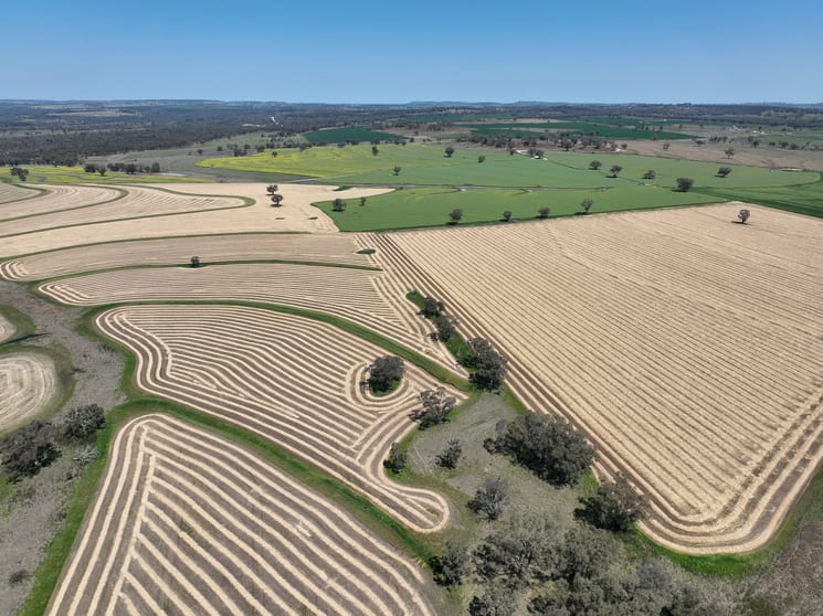 Click to view all images 4436 Yetman Road Graman NSW 2360 - Image 1