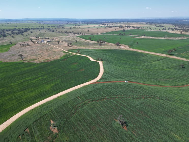 Click to view all images 4436 Yetman Road Graman NSW 2360 - Image 3