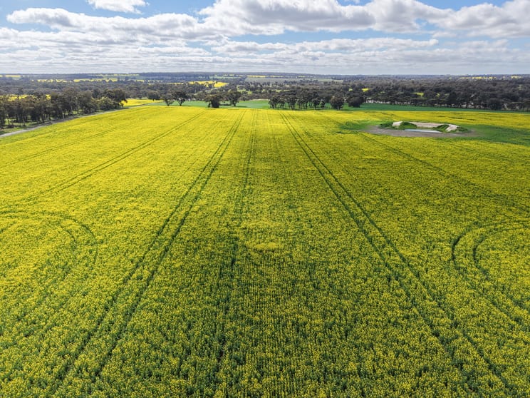 Click to view all images Lot 3 Scotts Brook Road Mobrup WA 6395 - Image 2