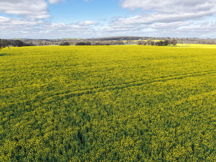 Click to view all images Lot 3 Scotts Brook Road Mobrup WA 6395 - Image 3