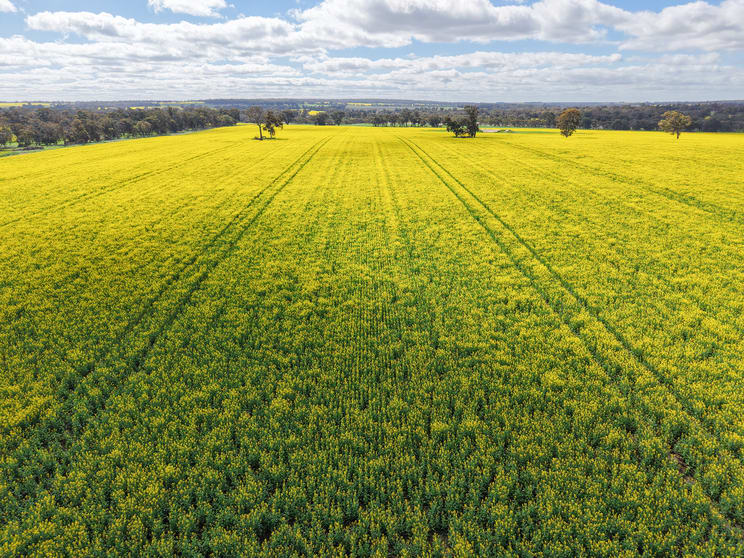 Click to view all images Lot 3 Scotts Brook Road Mobrup WA 6395 - Image 1