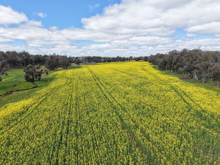 Click to view all images Lot 2950 Kulikup Road North Kulikup WA 6244 - Image 1