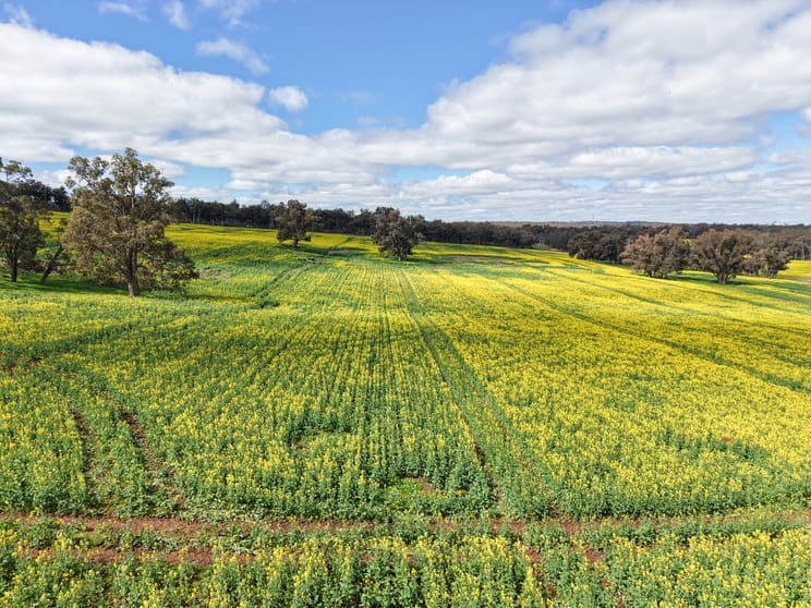 Click to view all images Lot 2950 Kulikup Road North Kulikup WA 6244 - Image 2