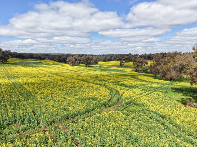 Click to view all images Lot 2950 Kulikup Road North Kulikup WA 6244 - Image 3
