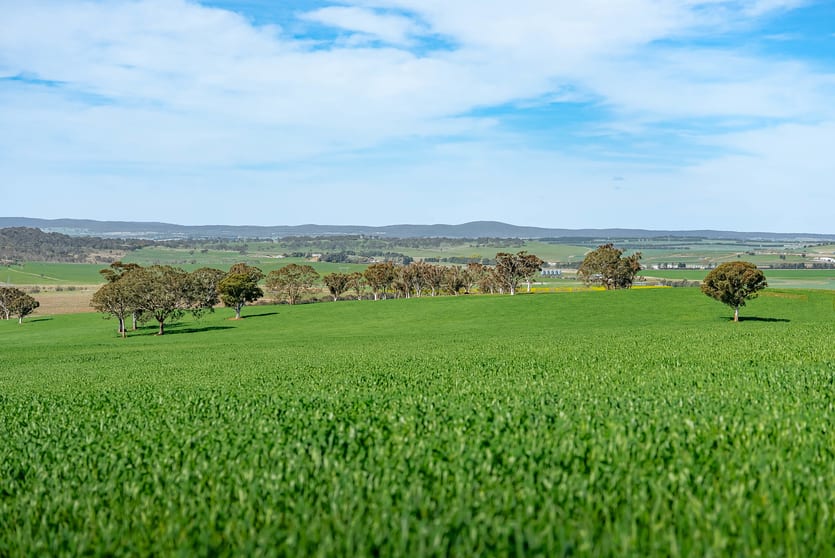 Click to view all images 276 Currawang Road Goulburn NSW 2580 - Image 2