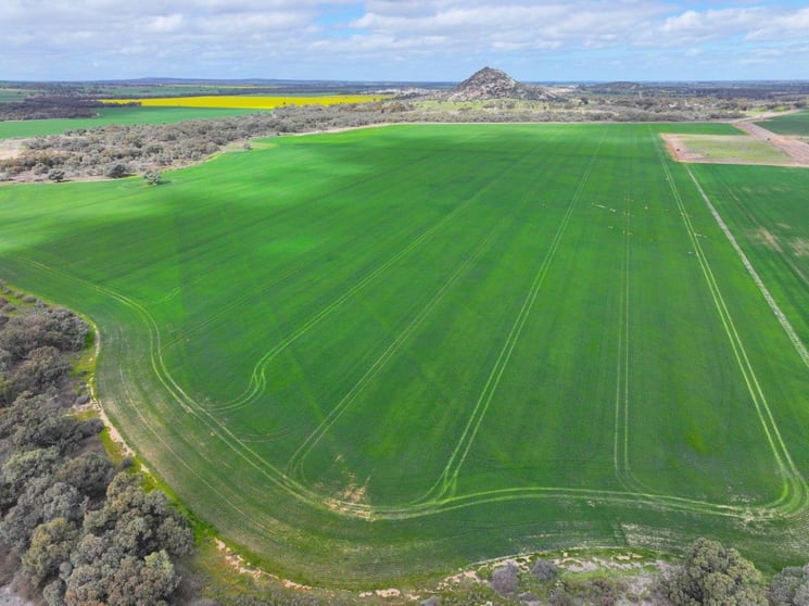 Click to view all images - Oneil Street Pyramid Hill VIC 3575 - Image 3