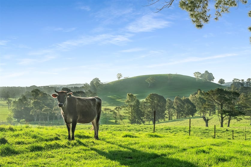 790 Kangaloon Road Glenquarry NSW 2576 - Image 1