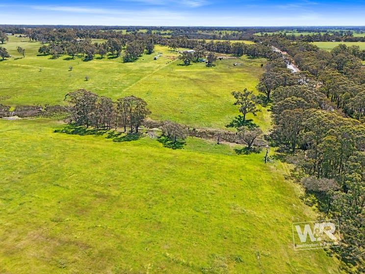 Lot 7 on Deposited Plan 67380, West Beattie Road Kendenup WA 6323 - Image 3
