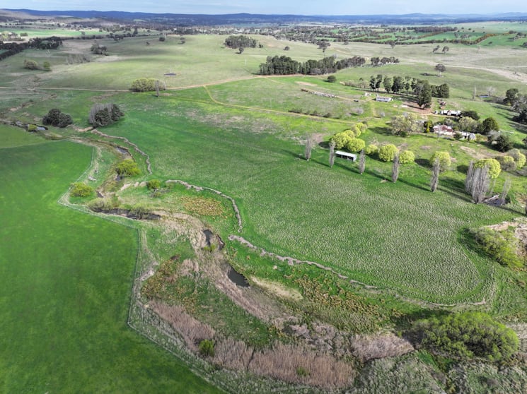 4705 Gundaroo Road Gundaroo NSW 2620 - Image 2