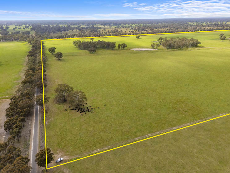 Click to view all images Lot 2 & Lot 1, PS 72 Basin Road Tarnook VIC 3670 - Image 3