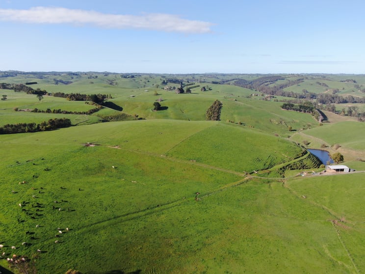 Click to view all images Beckett Street Poowong VIC 3988 - Image 3