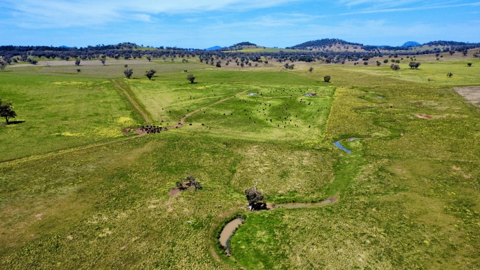 Click to view all images "Kanowna" 6216 Goolhi Road Mullaley via Gunnedah NSW 2380 - Image 3