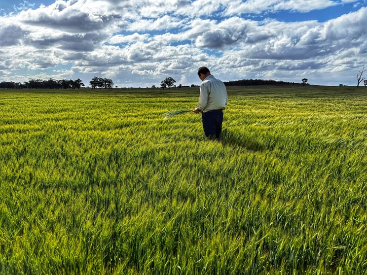 Click to view all images Kookaburragong 8048 The Gipps Way Condobolin NSW 2877 - Image 1
