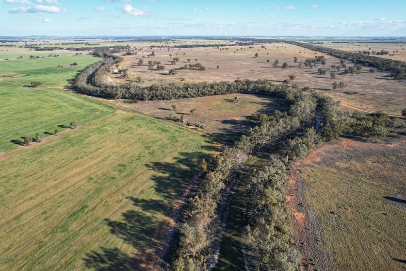 Click to view all images Kookaburragong 8048 The Gipps Way Condobolin NSW 2877 - Image 2