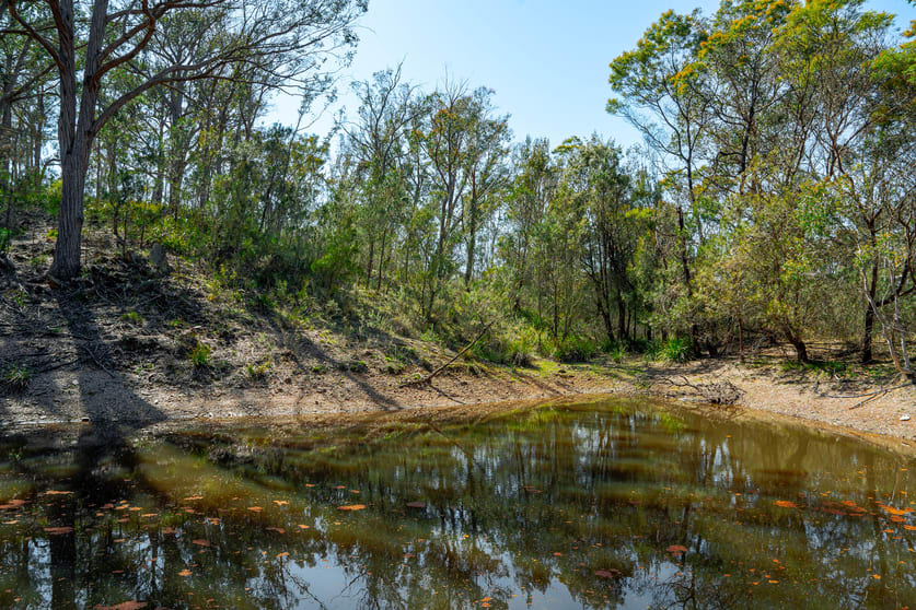 Click to view all images 1185 Mountain Ash Road Gundary NSW 2580 - Image 2