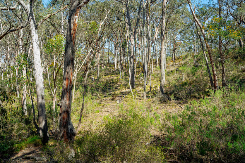 Click to view all images 1185 Mountain Ash Road Gundary NSW 2580 - Image 3