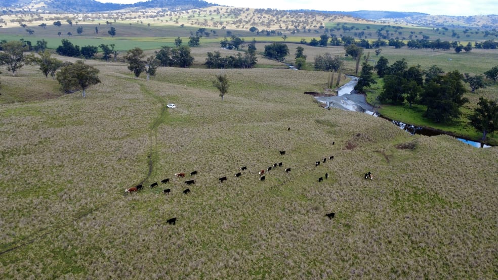 Click to view all images 955 "Wirringulla" Coulsons Creek Road Merriwa NSW 2329 - Image 1