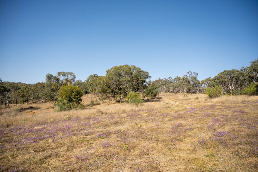 Lot 8 & 43 Edens Chase Rosenthal Heights QLD 4370 - Image 3
