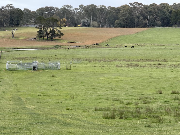 Lot 13 Rosewood Hills Road Tumbarumba NSW 2653 - Image 2