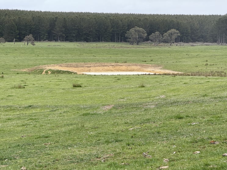 Lot 13 Rosewood Hills Road Tumbarumba NSW 2653 - Image 3