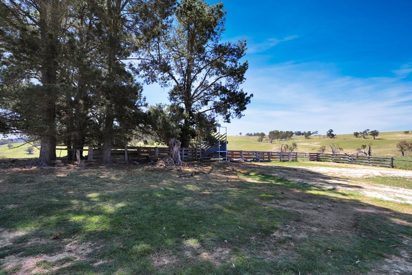 "Glenroy" Corrowong Road Delegate NSW 2633 - Image 2