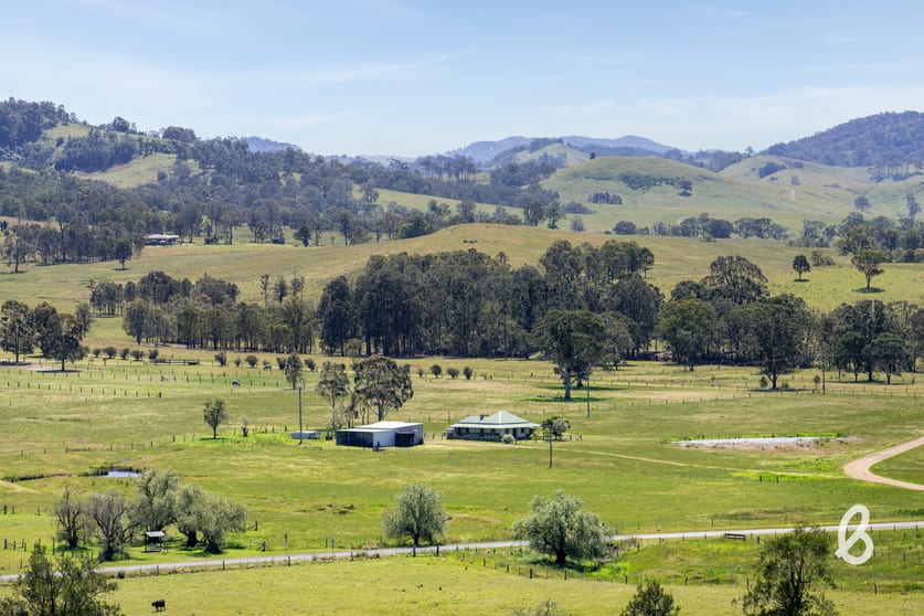 11 Roselands Lane Singleton NSW 2330 - Image 1